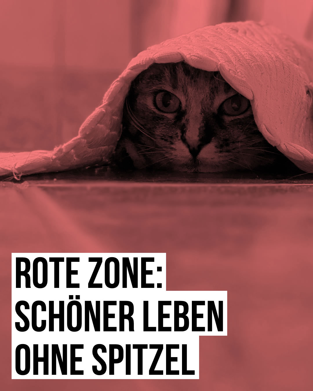 Rote Zone: Schöner leben ohne Spitzel