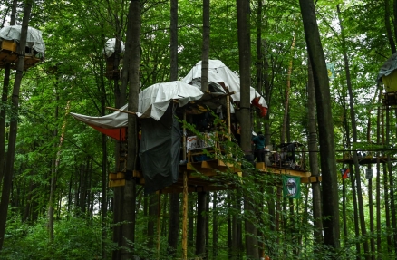 Dannenröder Wald #DanniBleibt